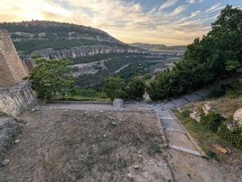Cuenca en Marcha cuestiona la tala de cipreses cerca del Arco de Bezudo