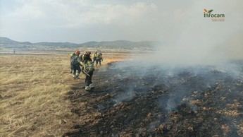 Incendio en Brazatortas (Ciudad Real) controlado y extinguido