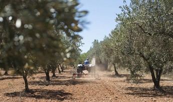 El Ministerio de Agricultura lanza ayudas de 9,5 millones para renovar maquinaria agraria