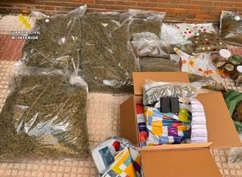 Desmantelan plantación de marihuana en Guadalajara y detienen a un hombre