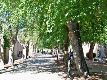 Page anuncia matrícula gratuita en la UCLM para estudiantes con matrícula de honor en Bachillerato
