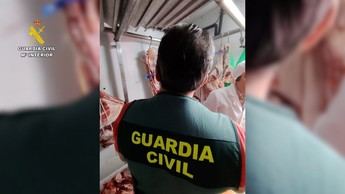 Detenido en Toledo por vender carne de cordero sin garantías sanitarias; sacrifican 228 animales