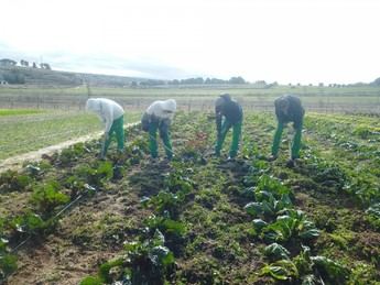 Cáritas Toledo capacita a más de 100 personas en situación de vulnerabilidad en 2025