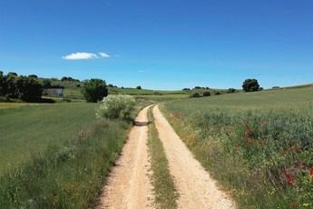 Guadalajara destina 1,2 millones a mejorar caminos rurales en 92 localidades