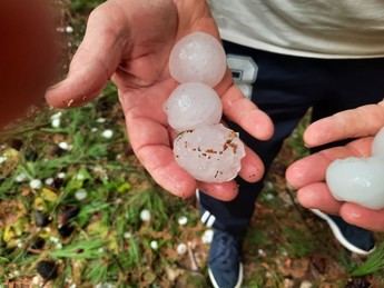 Asaja C-LM evalúa daños por tormentas y pide agilidad en las peritaciones de Agroseguro