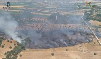 Incendio en Malpica del Tajo ya está extinguido