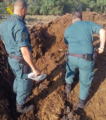 Detenido por matar a cinco perros en La Sagra