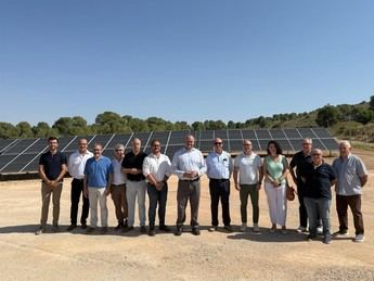 Viticultores de Castilla-La Mancha tienen plazo hasta el 31 de julio para certificar sus proyectos de reestructuración
