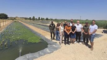 La Laguna Salada de Pétrola instala un filtro verde para mejorar la calidad del agua