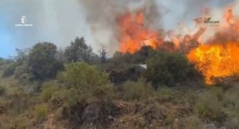 Más de 170 efectivos luchan contra el incendio en La Mierla, que ya ha quemado 1.500 hectáreas
