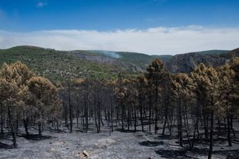Incendio en La Mierla podría superar las 26.000 hectáreas, pero operativo asegura protección de vidas y poblaciones