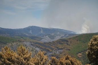 La Junta de Castilla-La Mancha realiza más de 2.200 llamadas a mayores por el incendio en la Sierra Norte