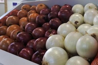 Abren solicitudes para ayudas a mercados locales de productos agrícolas en Castilla-La Mancha