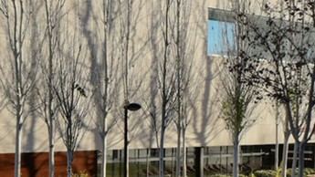 Albacete destina 165.000 euros a mejorar la Casa de la Cultura José Saramago