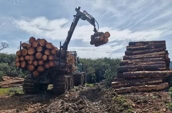 Ayudas de 2,4 millones para modernizar el sector forestal en Castilla-La Mancha