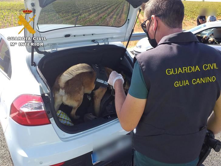 El perro de la Guardia Civil ayuda a encontrar 500 gramos de hachís en un coche en Hellín