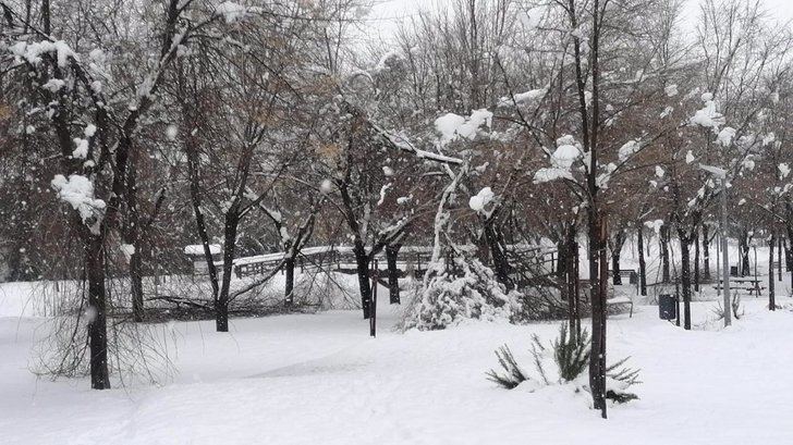 Más de 2.000 personas siguen sin electricidad en Toledo y Cuenca debido a la nieve
