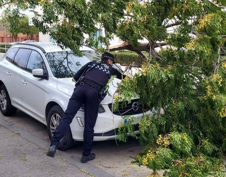 Policía Local Albacete realizó 168 actuaciones por las borrascas 'Ciarán' y 'Domingos', que no dejaron daños materiales