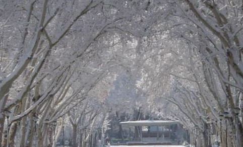 Mínimas de 10 grados bajo cero ponen en alerta a Castilla-La Mancha, donde continúa el frío gélido