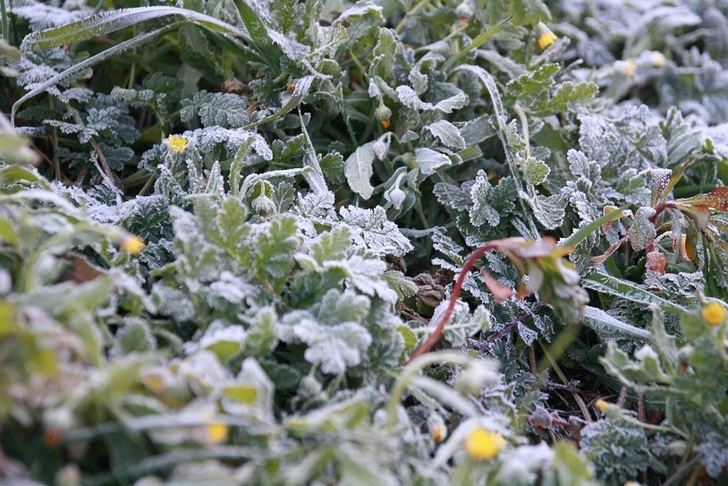 Temperaturas gélidas y posibilidad de lluvias generalizadas, por una masa polar que llega el jueves