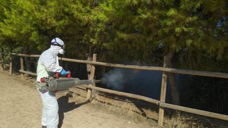 El Ayuntamiento y Aguas de Albacete inician el plan de fumigación en el canal de María Cristina, por los mosquitos