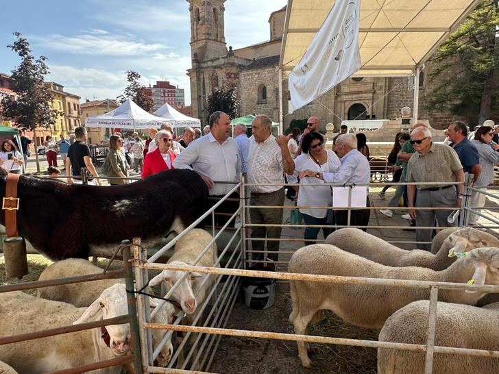 Castilla-La Mancha destina 18 millones de euros para el bienestar animal en ganadería