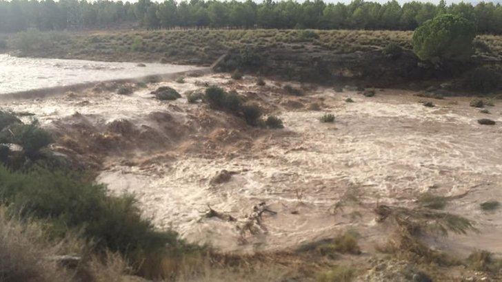 Agroseguro estima en 84 millones de euros las indemnizaciones por los daños causados por la DANA que al sureste peninsular