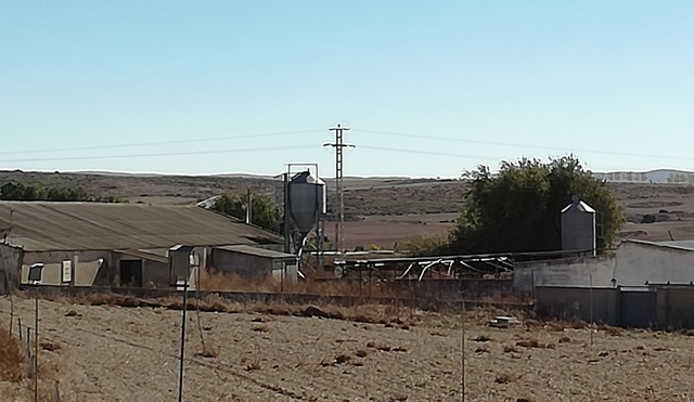 Castilla-La Mancha ampliará hasta los dos kilómetros la distancia de instalación de granjas a los núcleos urbanos