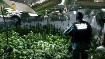 Piden 2 años a un hombre acusado de poseer una placa de resina de cannabis destinada a la venta en Almansa
