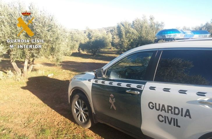 Investigado por un delito de hurto de aceituna en Cotillas (Albacete) tras entregar más de 4.000 kilos de una parcela inexistente