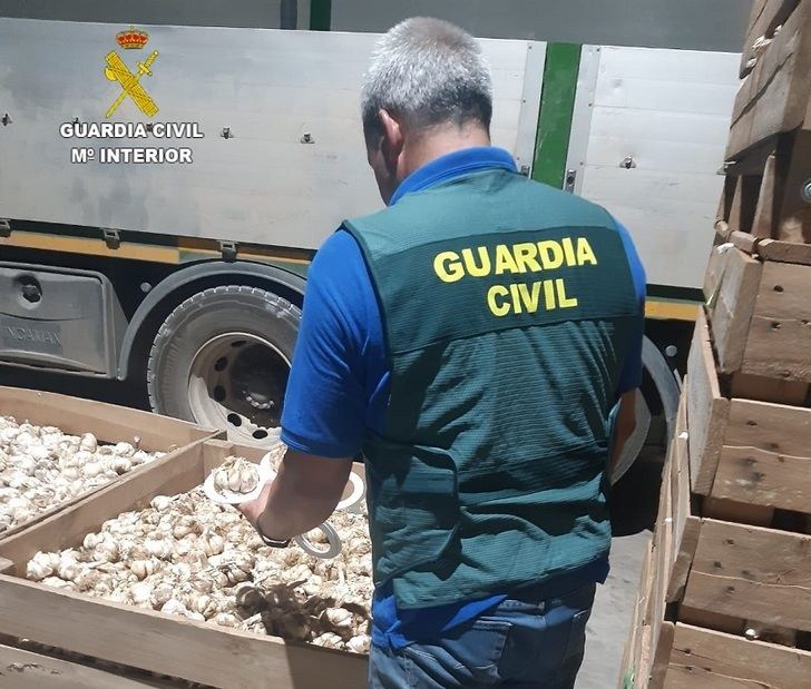 Tres investigados en la Mancha conquense por apropiarse de simiente de ajo valorada en más de 100.000 euros