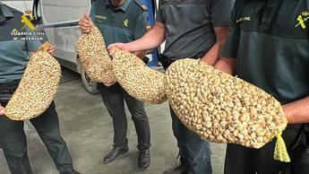 La Guardia Civil intercepta 430 kilos de caracoles ilegales en La Rioja destinados a Albacete