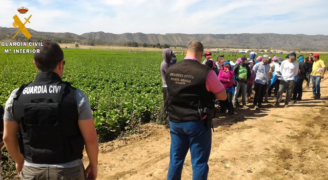 La Guardia Civil detiene a dos personas en Aguas Nuevas (Albacete) por contratación irregular de temporeros