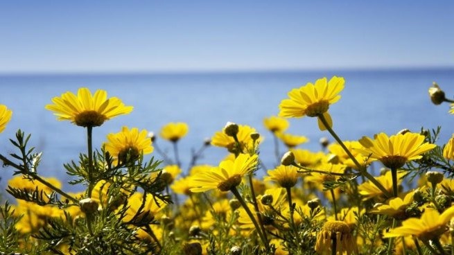 Hábitos saludables también en primavera