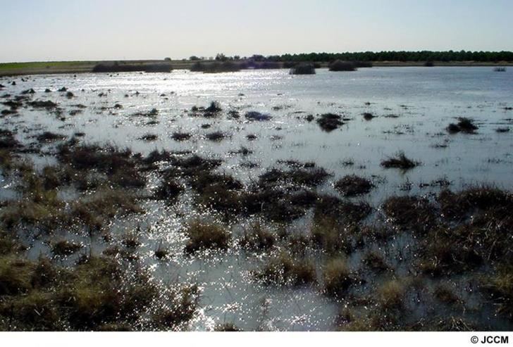 Los humedales de Castilla-La Mancha recibirán el próximo año 7 millones de euros 'especiales'