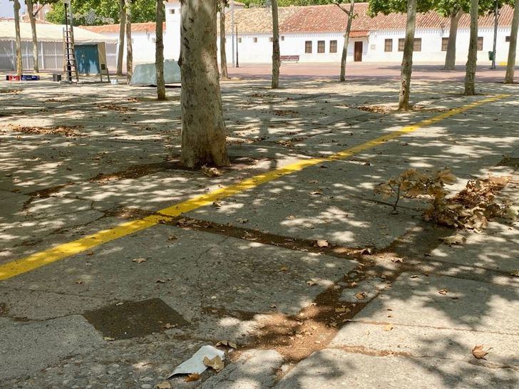El PSOE exige rapidez en la implementación del Plan de Accesibilidad Universal para Albacete