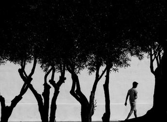 Rubén Martínez Sotoca, Primer Premio del IX Certamen de Fotografía ‘Albacete Siempre’ que promueve la Diputación