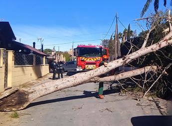 Los bomberos de la Diputación de Albacete realizan más de 30 intervenciones por los efectos del fuerte viento