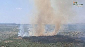 Dos incendios forestales activos en Castilla-La Mancha: Chinchilla y Pozuelo de Calatrava en alerta