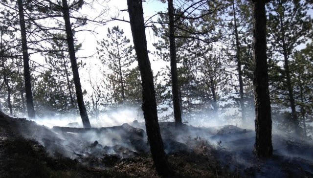 Encontrado el cadáver de una persona en una zona afectada por un incendio forestal en Yeste (Albacete)