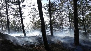 Encontrado el cadáver de una persona en una zona afectada por un incendio forestal en Yeste (Albacete)