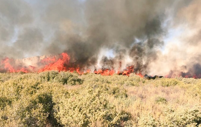 La Junta destina 17,4 millones a vigilancia y extinción de incendios en la provincia de Albacete