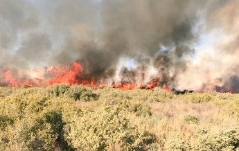 La Junta destina 17,4 millones a vigilancia y extinción de incendios en la provincia de Albacete