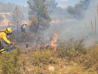 50 personas y 11 medios trabajan en la extinción del incendio en Almansa (Albacete)