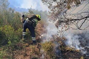 Incendio en Almansa: 20 medios y 70 personas lograron controlar las llamas, ya está extinguido