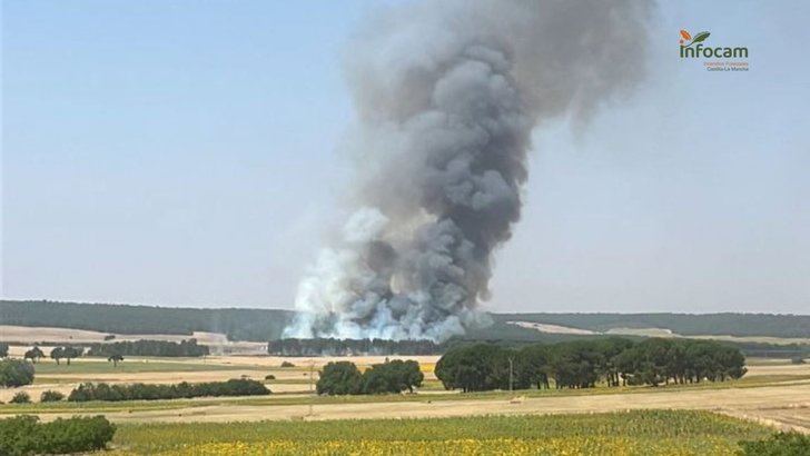 Rápida respuesta: El incendio en Almodóvar del Pinar fue controlado en menos de tres horas