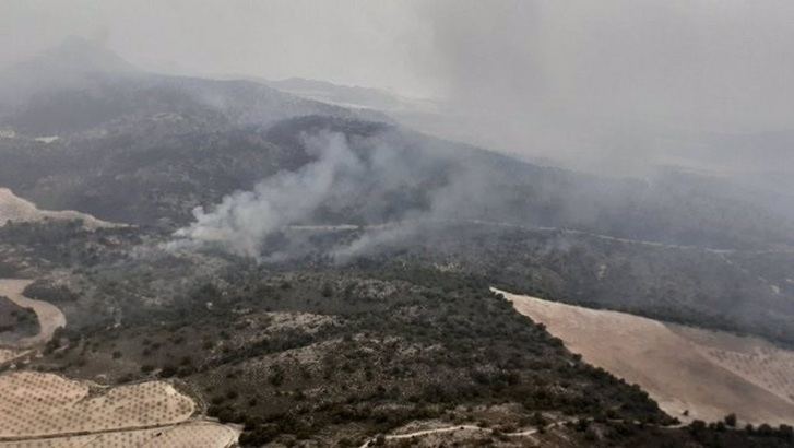 Controlado el fuego forestal de Jumilla que ha arrasado 400 hectáreas, el 55% de ellas en Albacete