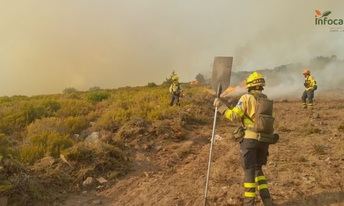 Incendio forestal en Peñalba de la Sierra (Guadalajara) afecta 1.800 hectáreas y moviliza 52 medios de extinción