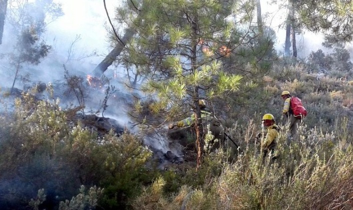 Los medios terrestres trabajando en el incendio de Paterna del Madera