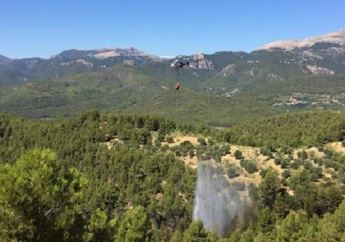 Un incendio forestal en Yeste (Albacete), ya controlado, hace recordar los peores momentos del año pasado